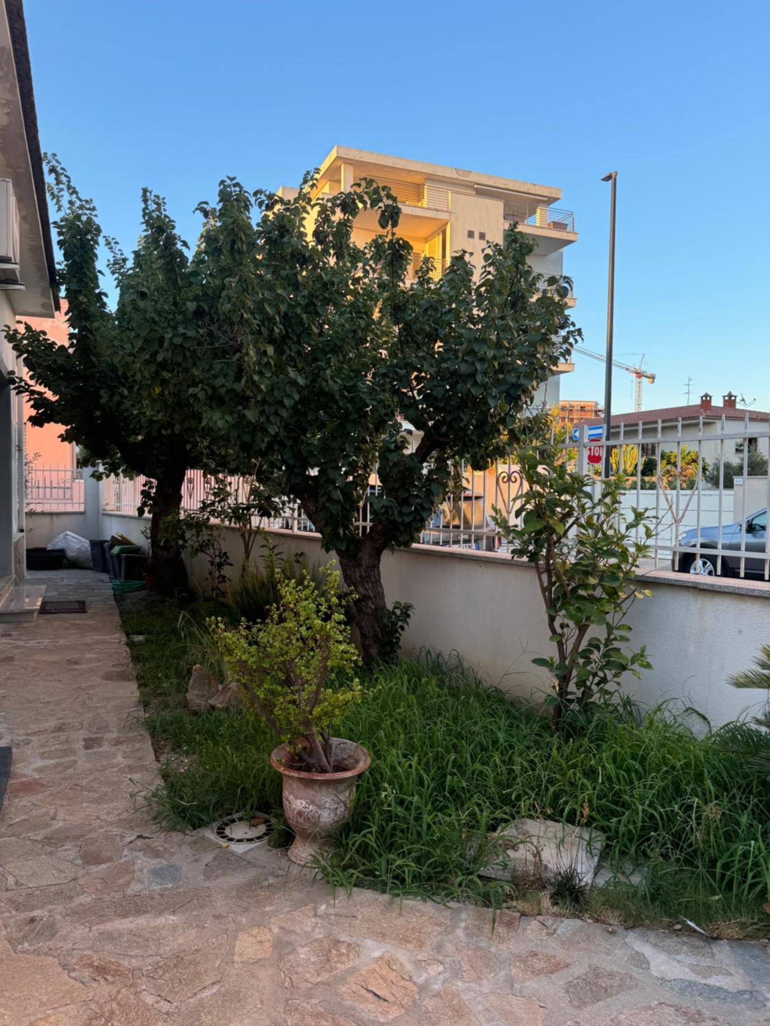 Apartament Da Gio Olbia Zewnętrze zdjęcie